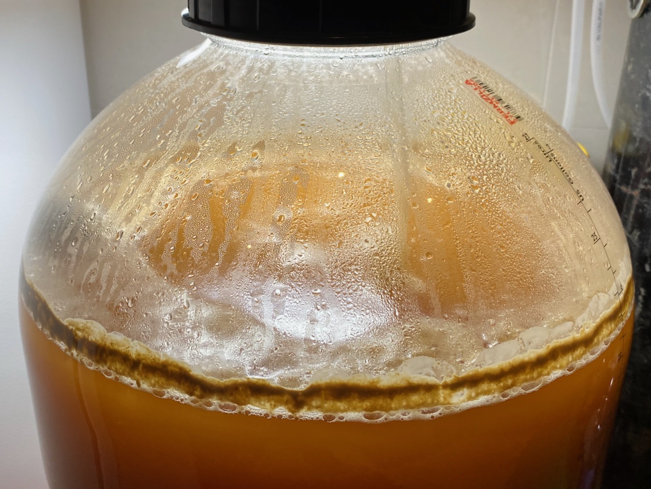 Picture 11: Krausen on top of fermenting beer